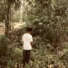 nas.toh