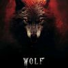 wolf42299