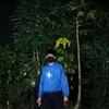 codotpart3