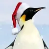 penguinclaps1