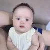 Chuyện Nhà VaNi