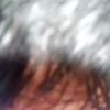 don.ho.ni.feri7
