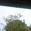 huuhuieikei