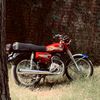 125lovear4