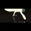 vippljwzsre