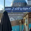 .ellaf_313_a
