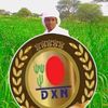 shedina.abakar.ma