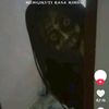 nadiranadira3110