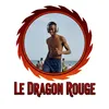 ledragonrouge221