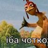 user97757098105663