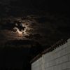 albian_0024