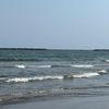 habibaelsayed4972