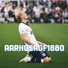 aarhusagf1880
