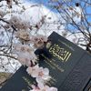 هدايــــــة 🩵📚🤍🇩🇿