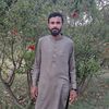 rana.shoaib9