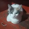 mirta.monges3