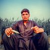 alijaveed195