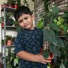 pokok.pah.ceroh