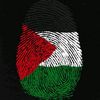 ali377928
