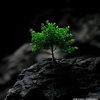 hassanbangash992