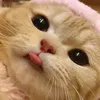 maldita_232