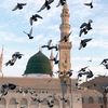 shehzaddi43