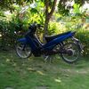 vega.zr.xdhin
