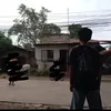 itsour_paws