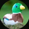 thelonlyducky
