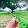 its.farhan544