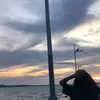 hajarabalumol