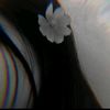 user878310966
