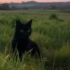 meowemew2