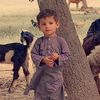 rana.abdul.hadi.bh