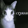 gu_la6