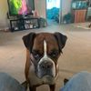 adamallen5585