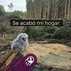 benito.camelo2853