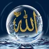 user2101599290915