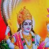 rina.rishidev60