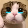 mdangg65