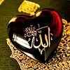 hamed.ahmadi4223