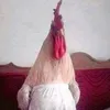 iraq.china8