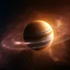 venere6195