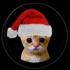 ianis__cpm123