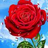 user60133521879407