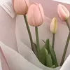 dumpnitaylor_0