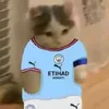 szparimancityfan
