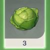300cabbages