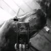 miminjr_rogerjr