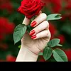 user769468247111